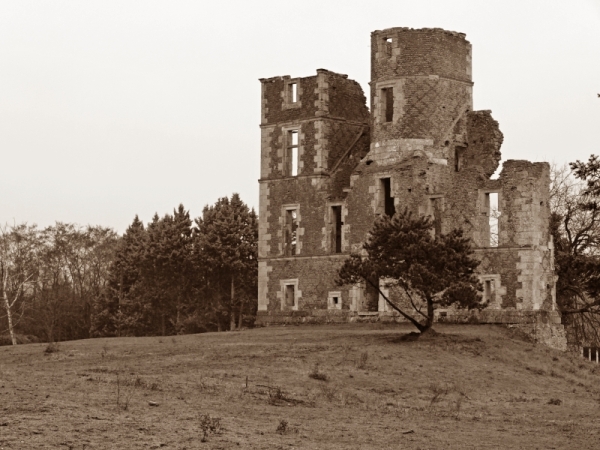 Chateau de Lisle (face). Enfin... Ce qu'il en reste !.jpg